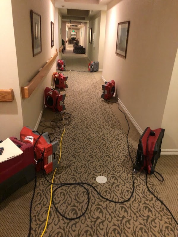 PuroClean Property Restoration — photo