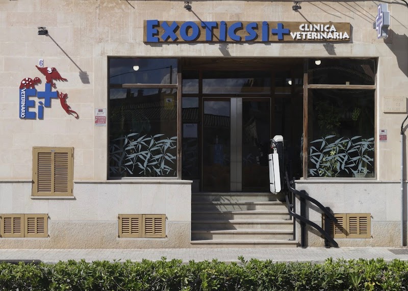 EXÒTICS I +, CLÍNICA VETERINARIA EN LLUCMAJOR