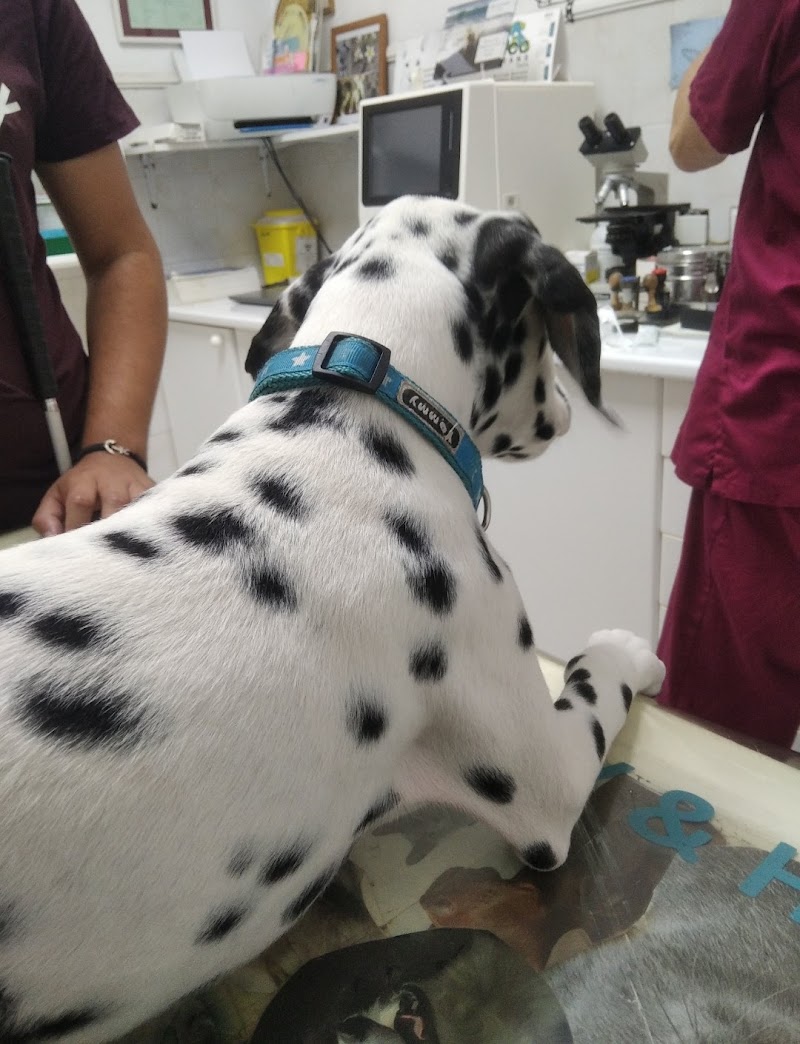 Clínica Veterinaria Vegueta