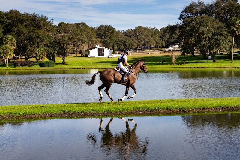 Grand Oaks Resort - Photo 5