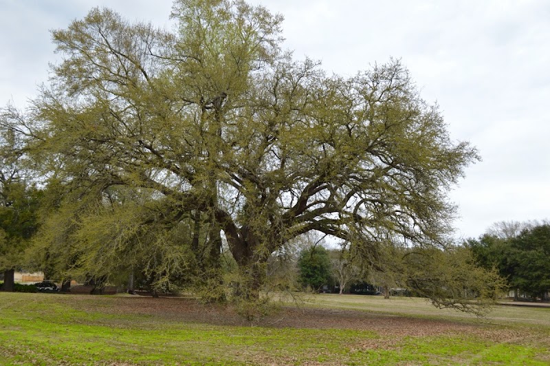 City Park Golf Course photo 5