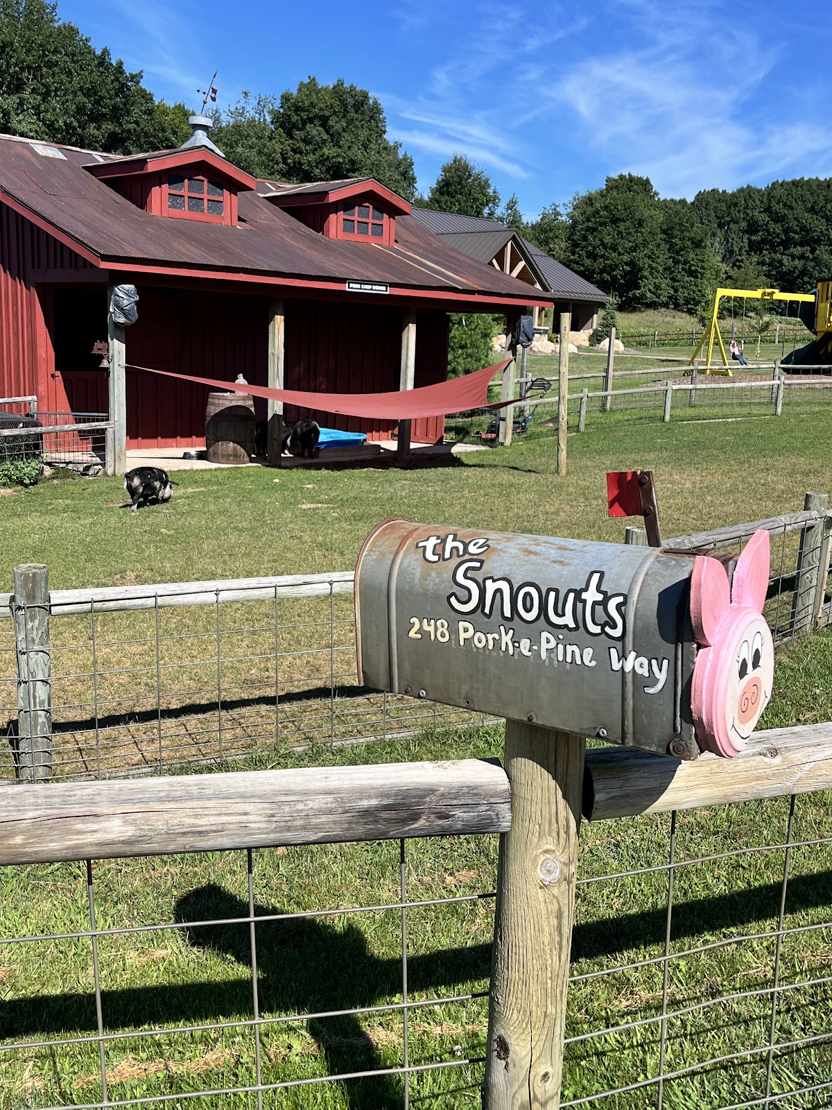 Lewis Farms 4