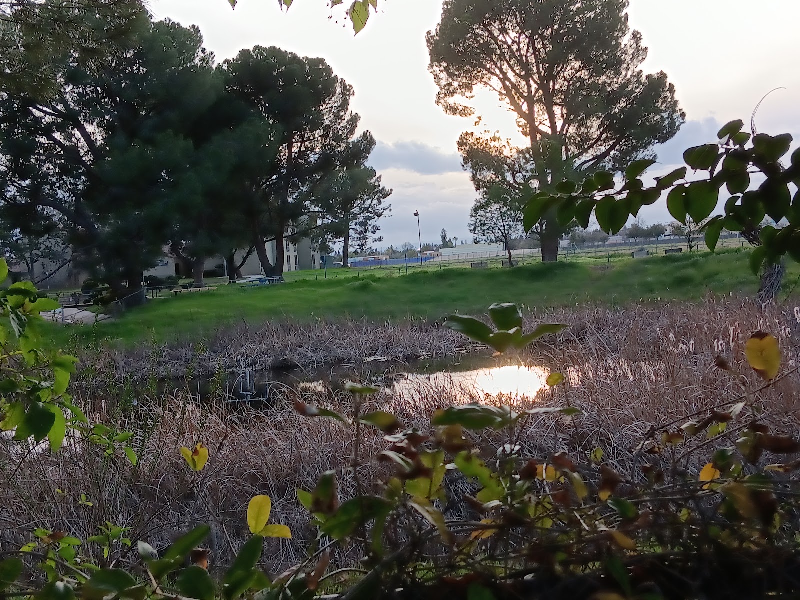 カリフォルニア州立大学ベーカーズフィールド校（California State University-Bakersfield）（Bakersfield、カリフォルニア州）