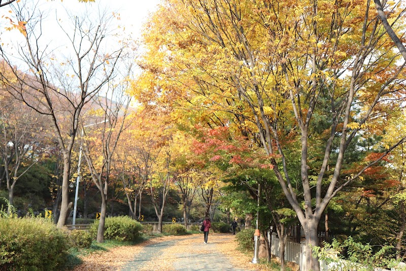 수리산산림욕장 사진 2