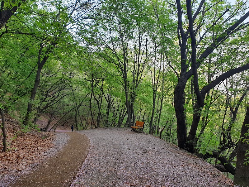 수리산산림욕장 반려동물 동반 여행지