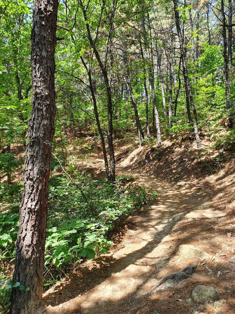 수리산산림욕장 사진 3