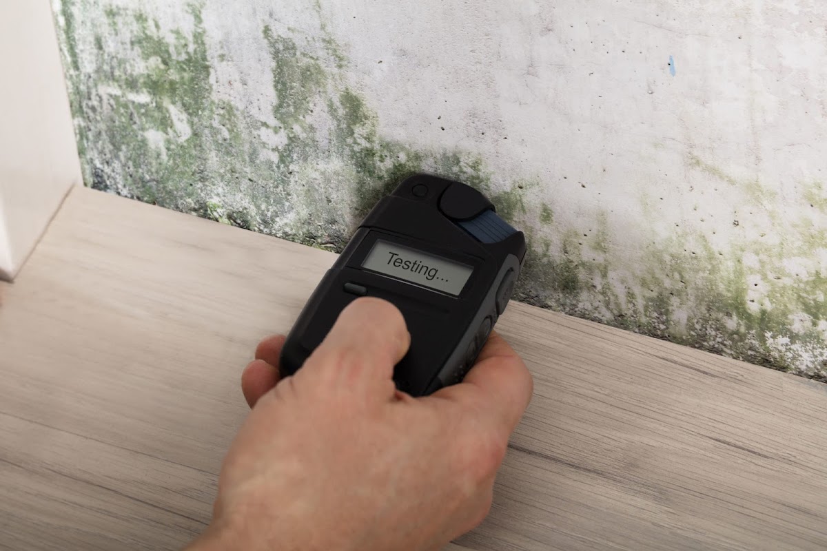 Bay Area Mold Pros — photo