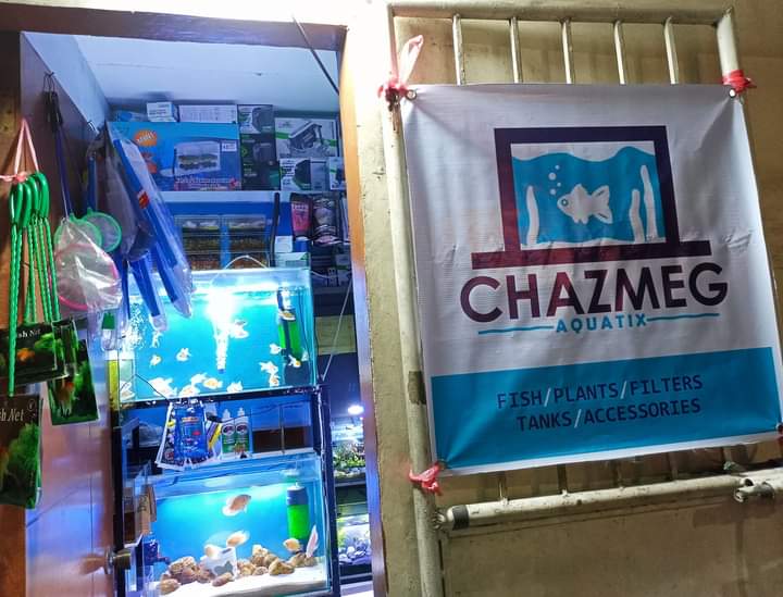 Chazmeg Aquatix