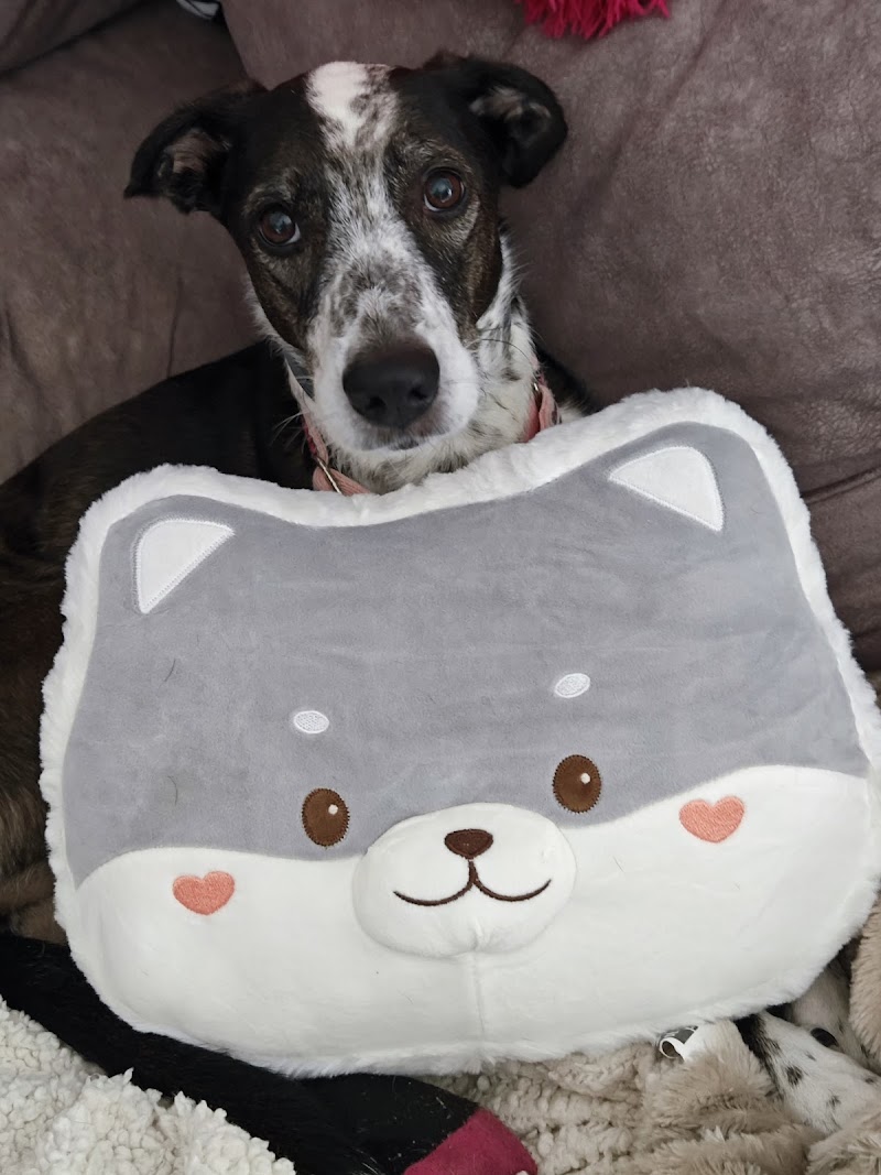 Centro Veterinario Iregua