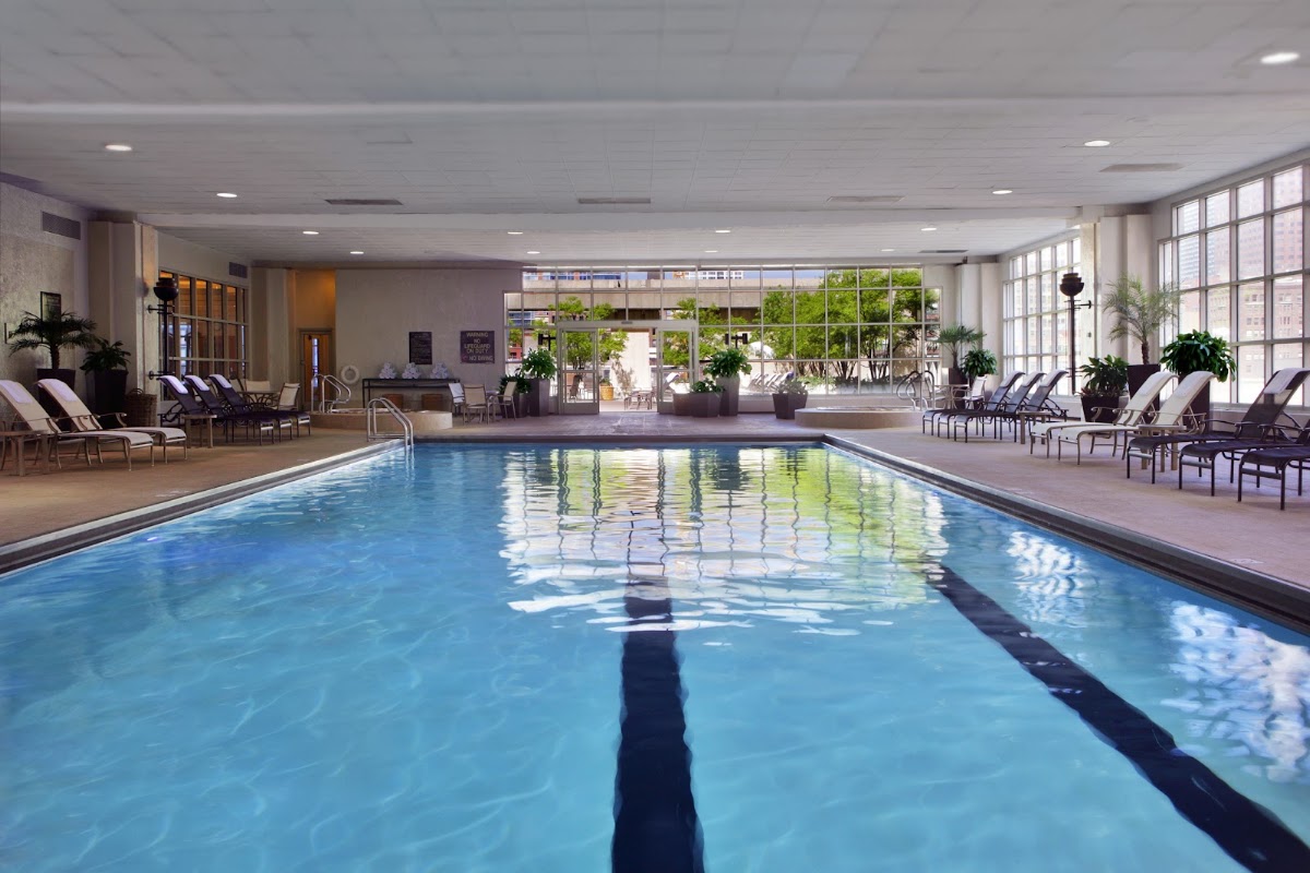 Hilton Chicago, dog-friendly hotel, photo 2