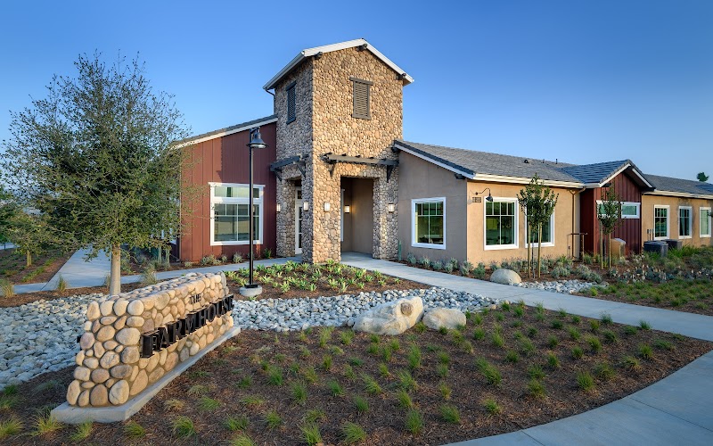 Harvest at Limoneira