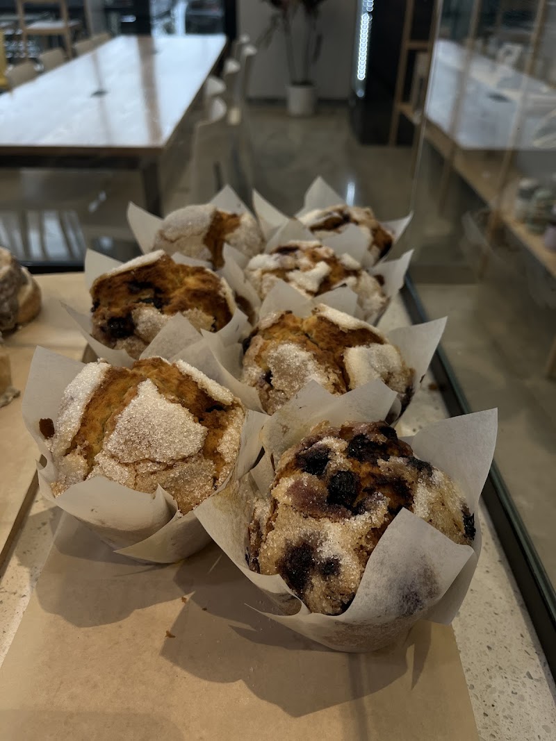 Echelon Coffee photo 2