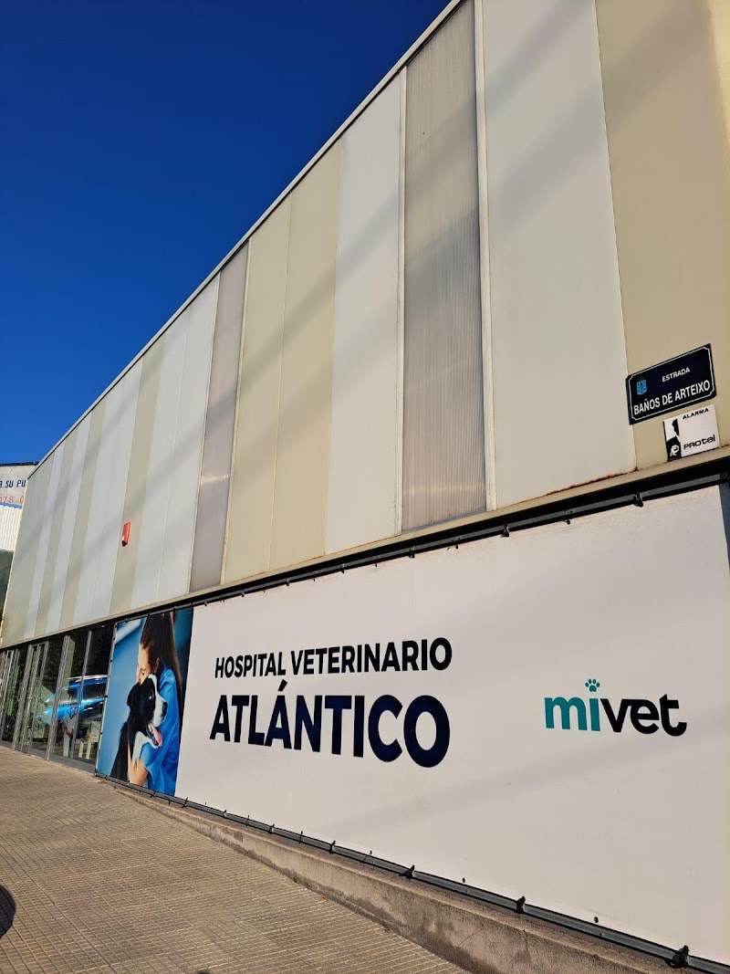 Hospital Veterinario Atlántico | MiVet