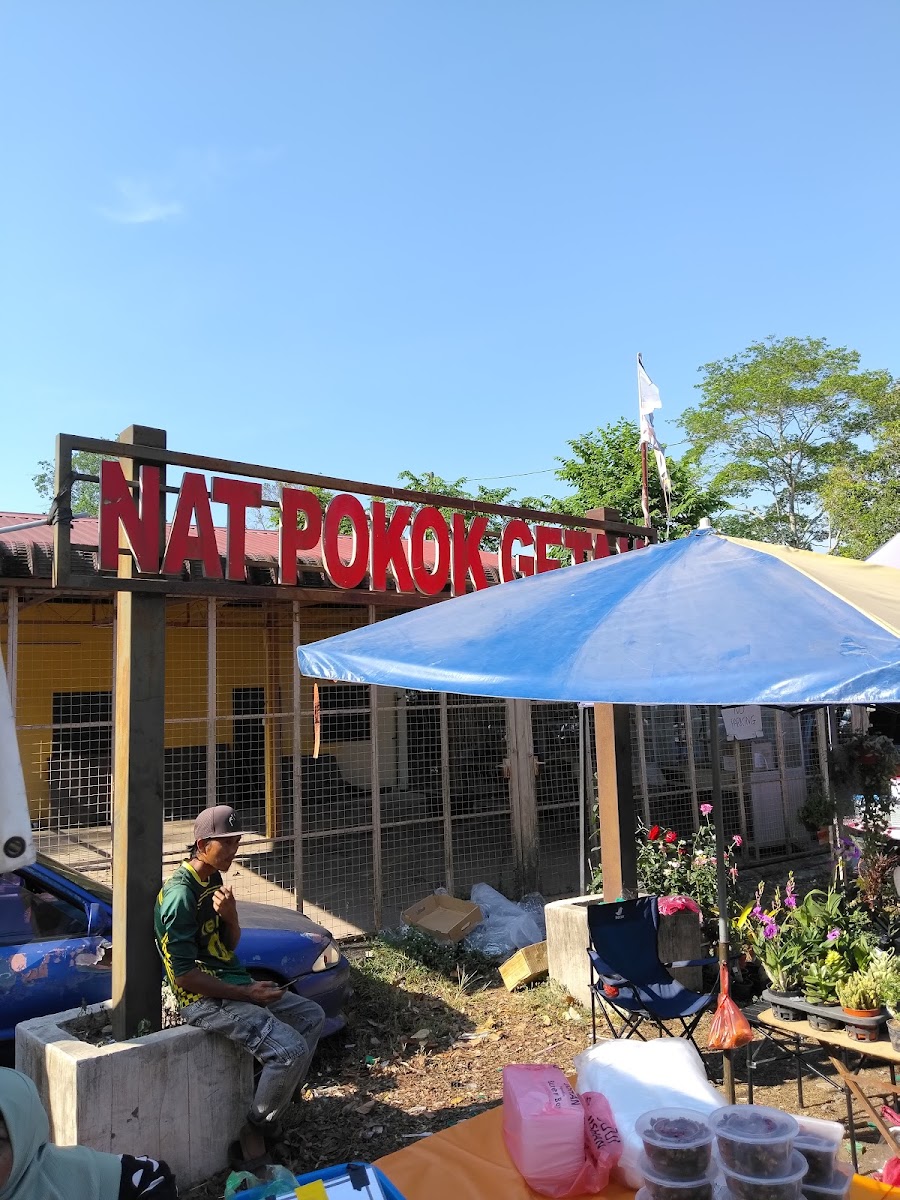 Nat Pokok Getah