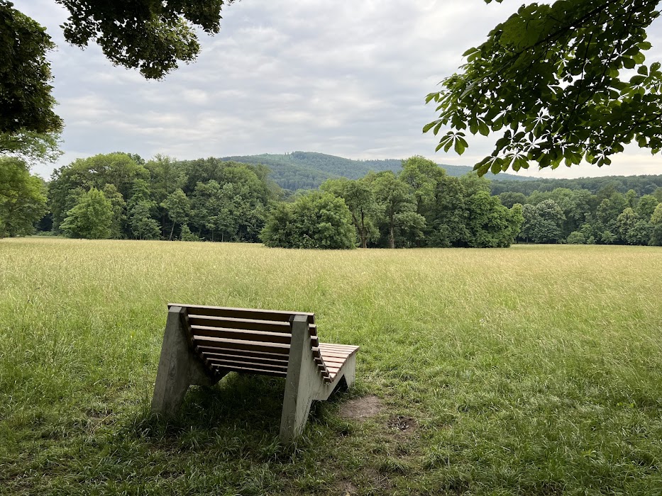 Schwarzenbergpark fotoğraf 1