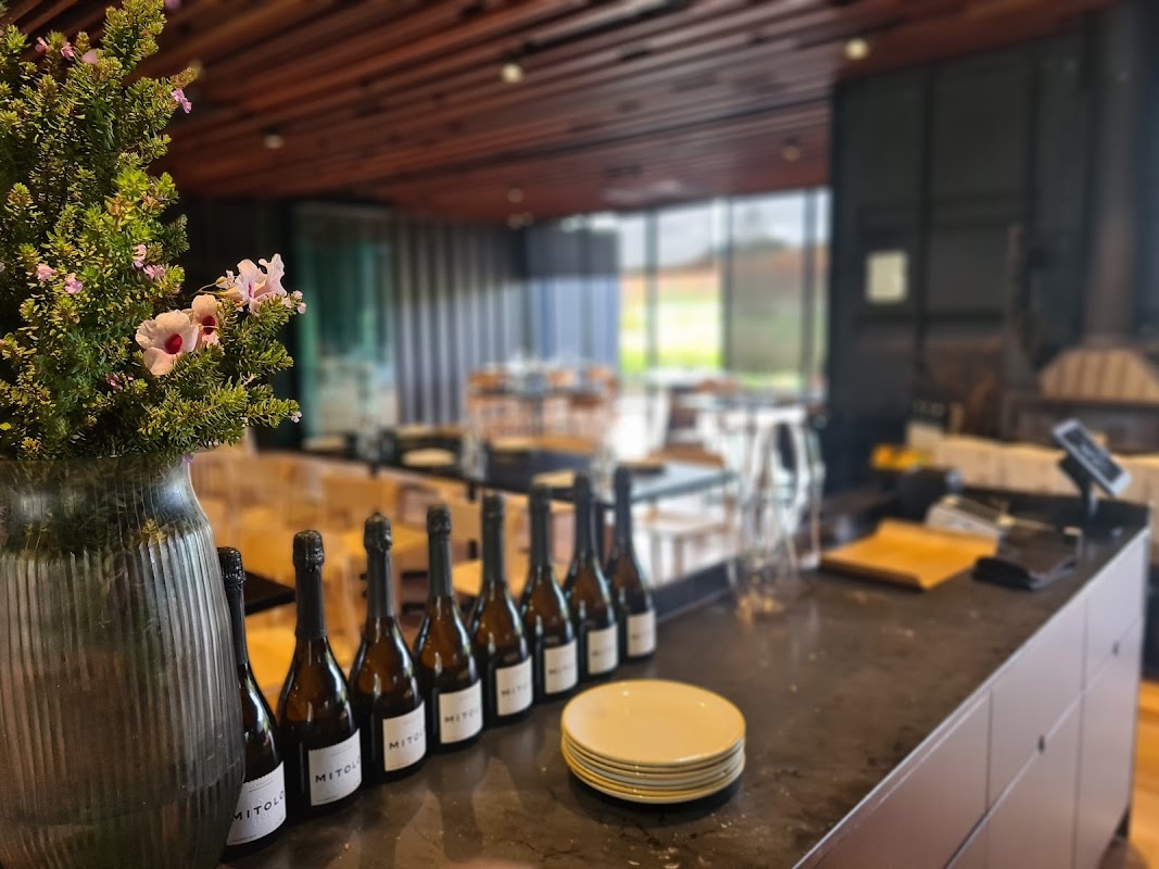 Mitolo Wines