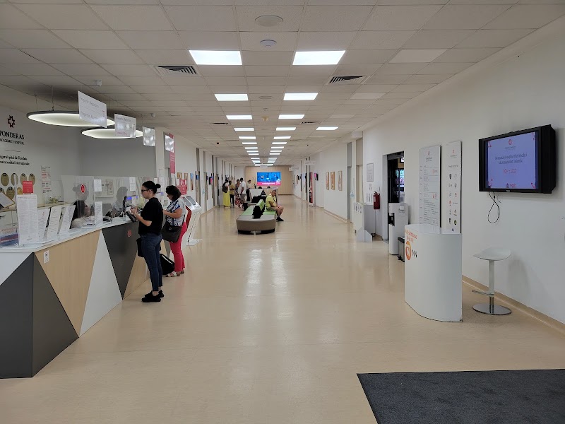 Gallery 4