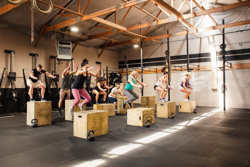 Beartooth Performance