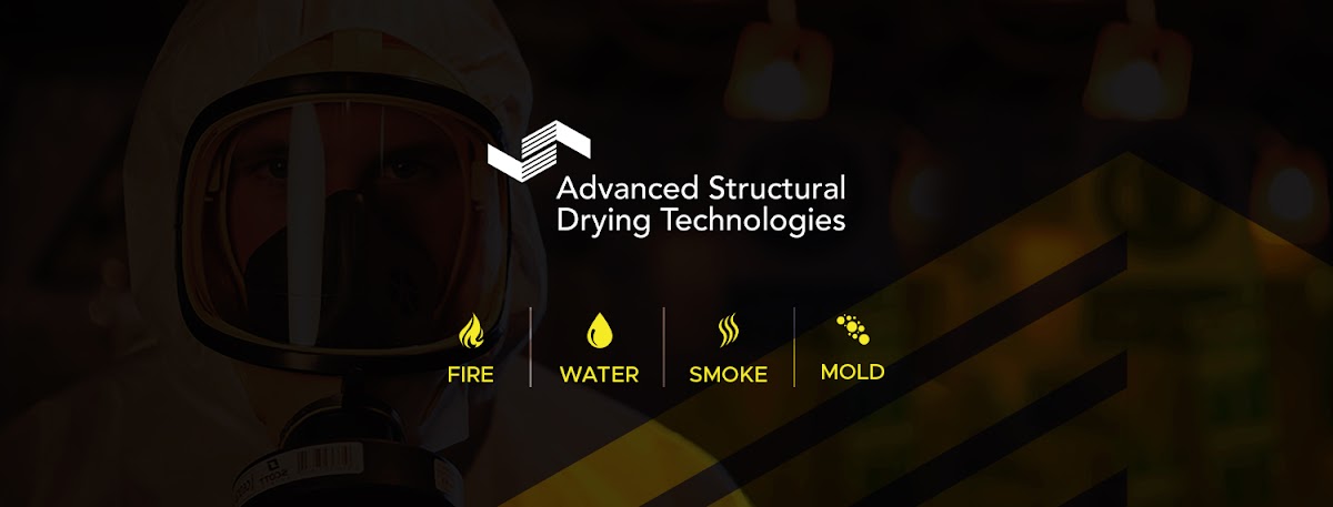 Advanced Structural Drying Technologies — photo