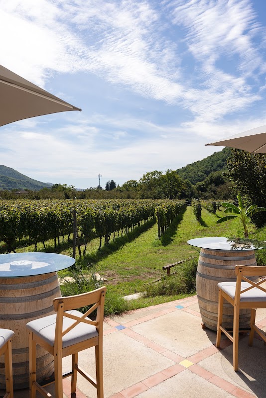 Azienda Agricola Guerritore