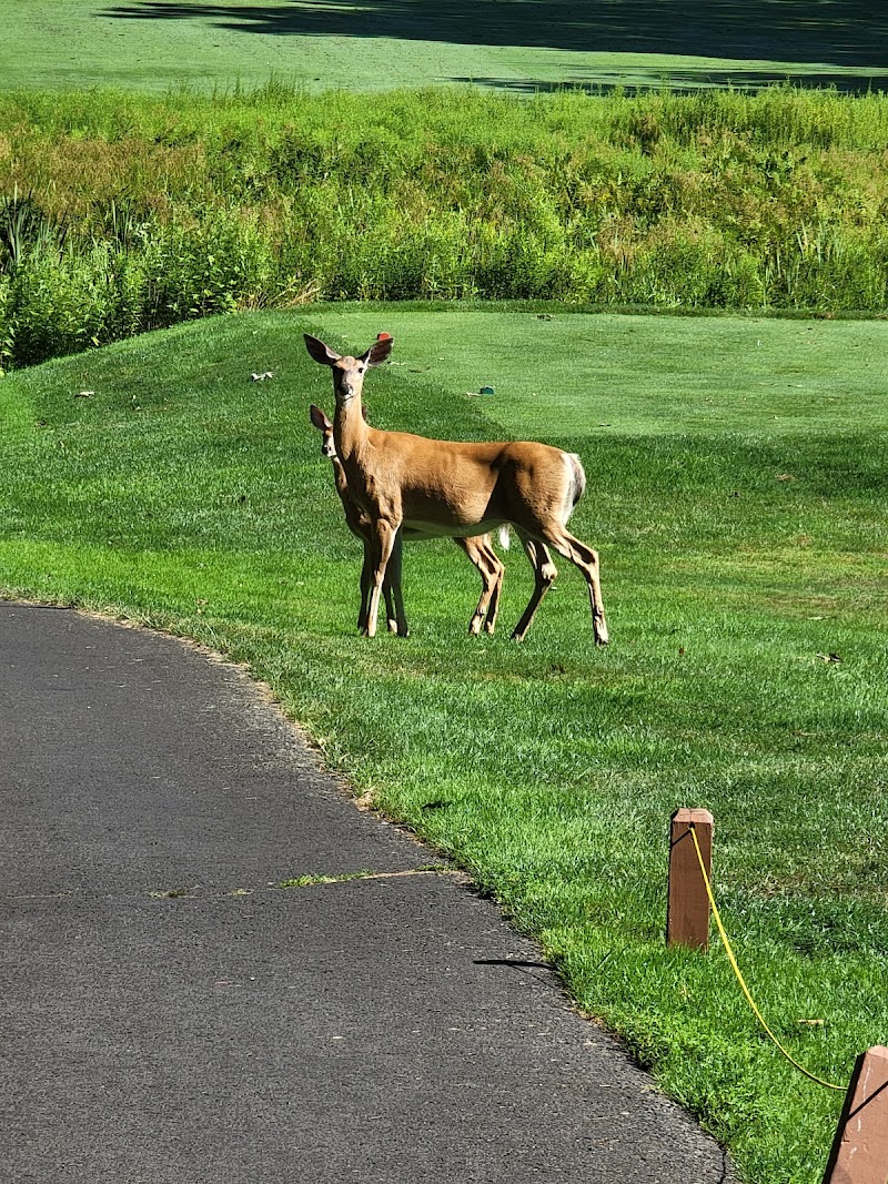 Blue Ridge Trail Golf Club photo 5