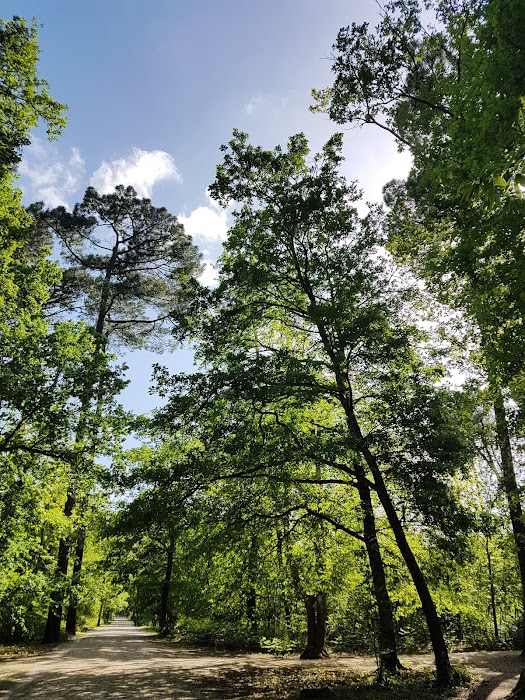 Bois du parc du Château fotoğraf 1