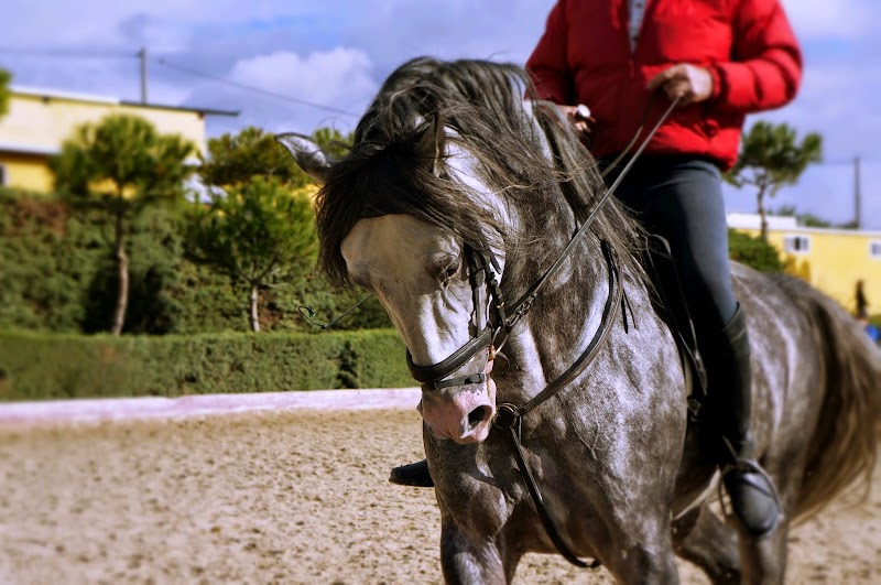 Centro Ecuestre Caño Quebrado