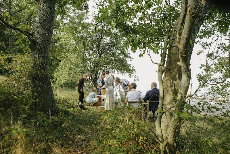 Tandlæge Tinne Zetterstrøm - billede 2