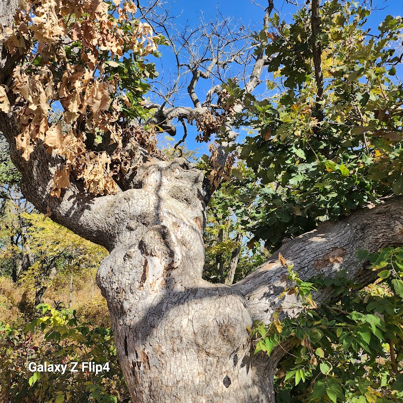 Ponca State Park - Photo 4