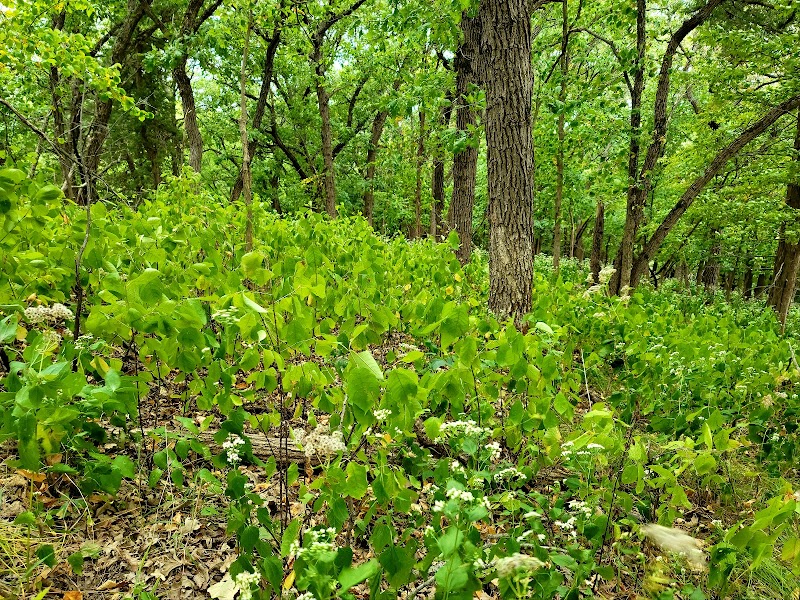 Ponca State Park - Photo 6