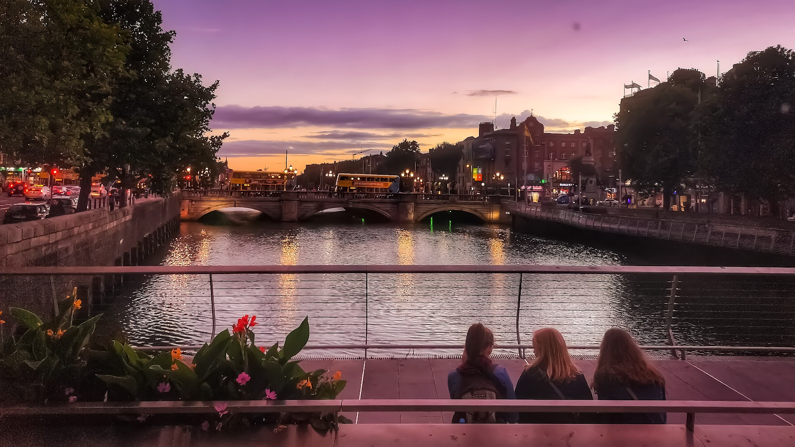 Best Dog-Friendly Hotels in Dublin, Ireland