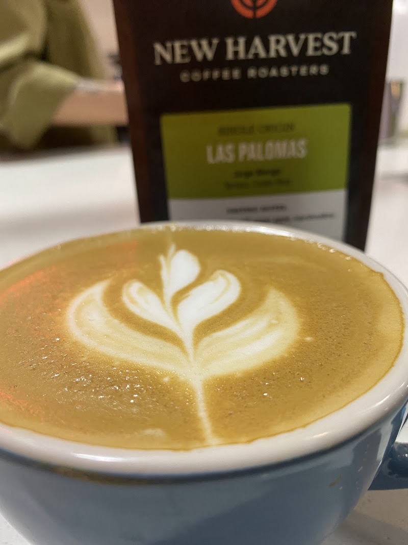 New Harvest Coffee Roasters photo 4