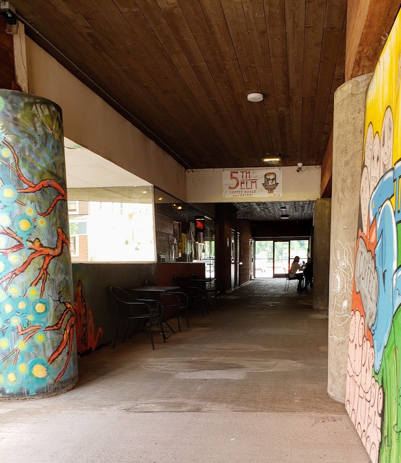 5th & Elm Coffee House photo 4