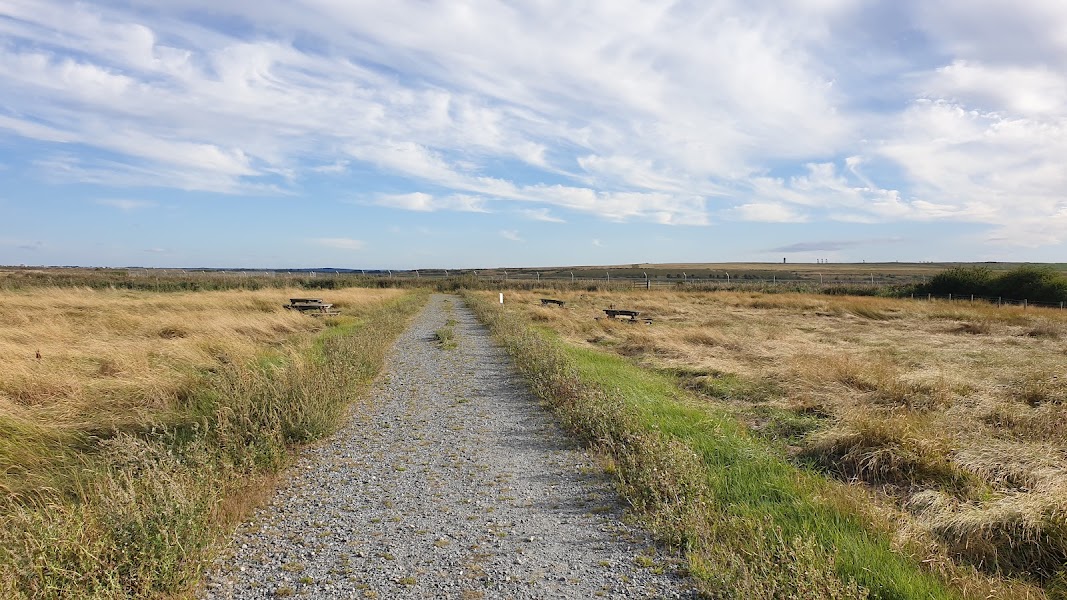 RSPB Bowers Marsh