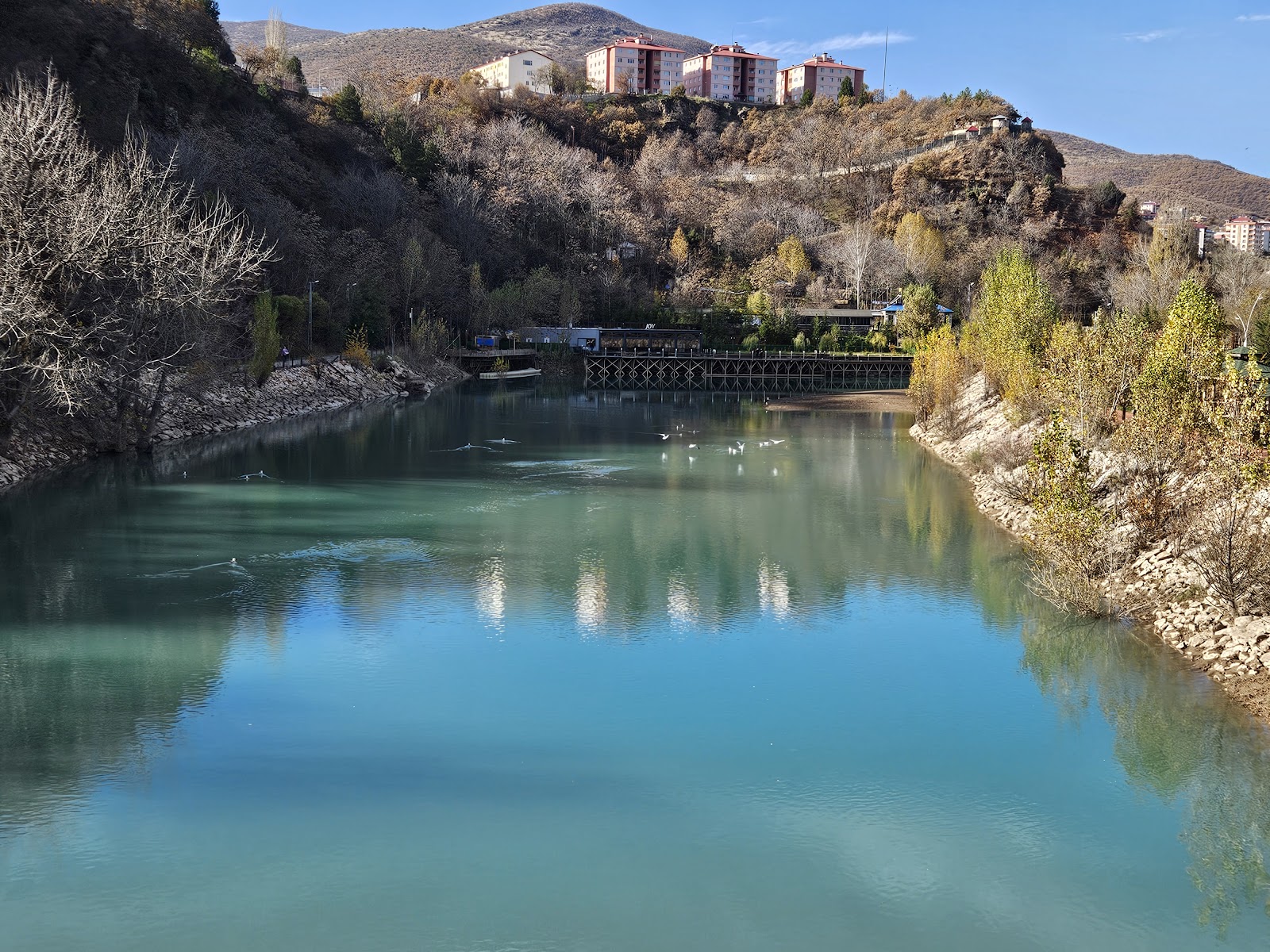 Mameki Parkı mekanı