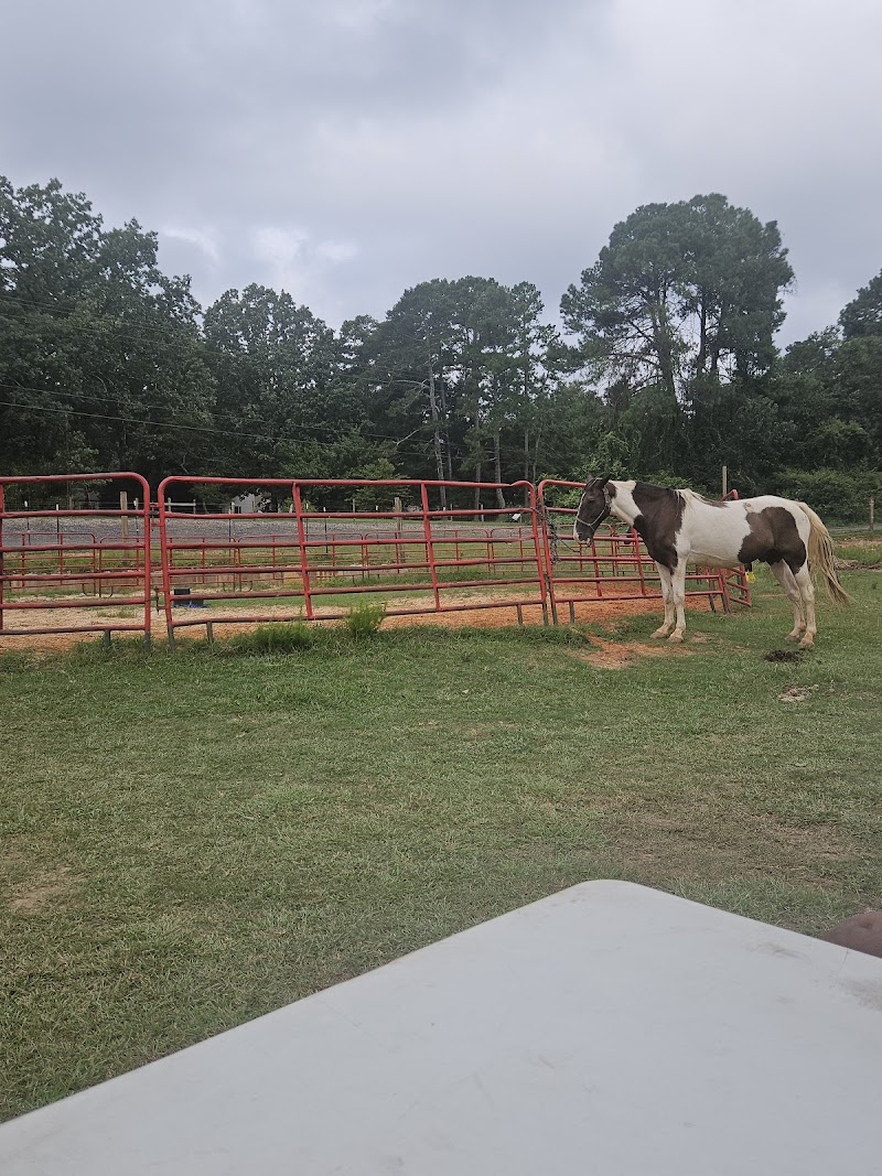 The Smith Family Ranch - Photo 2