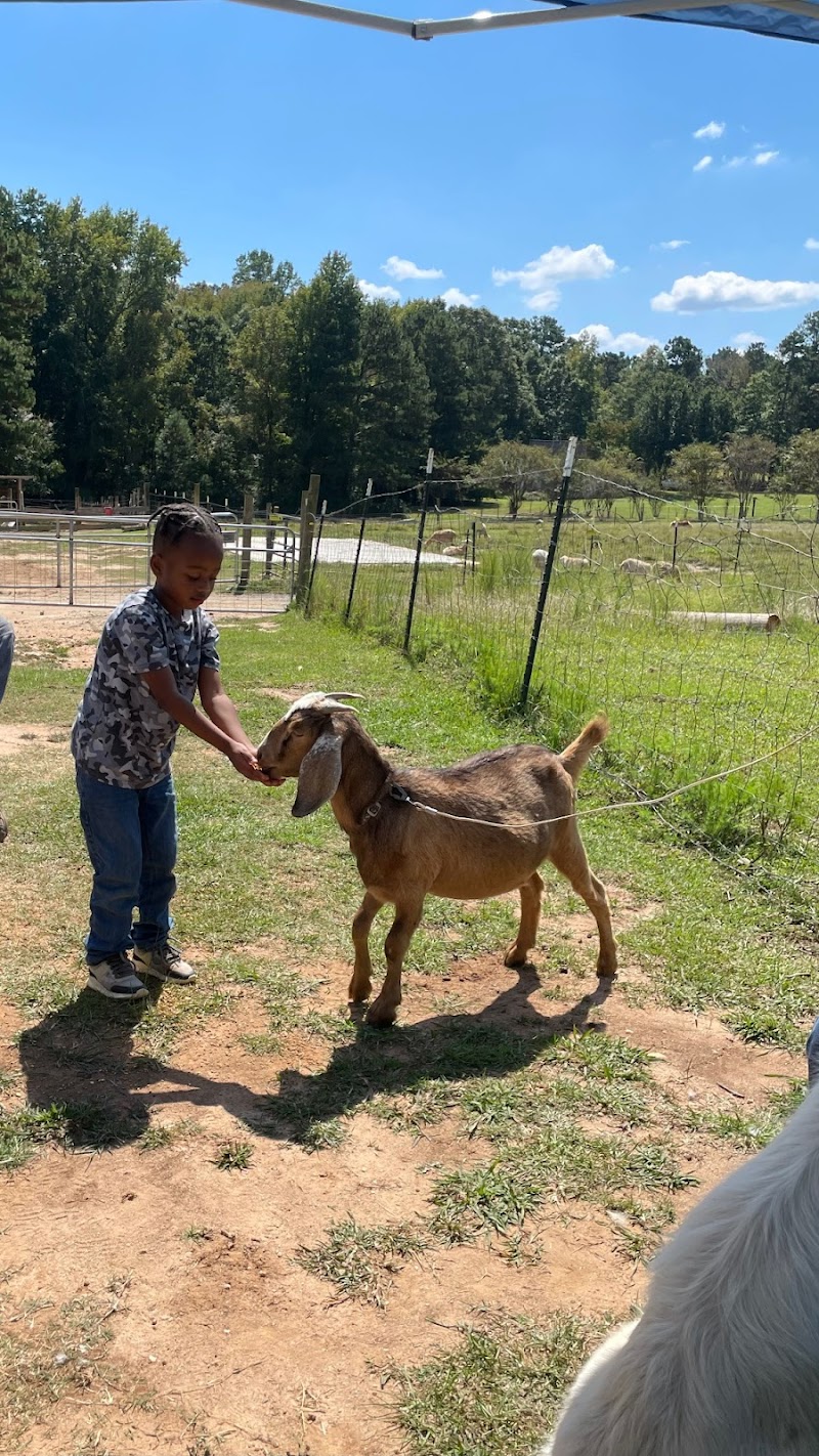 The Smith Family Ranch - Photo 5
