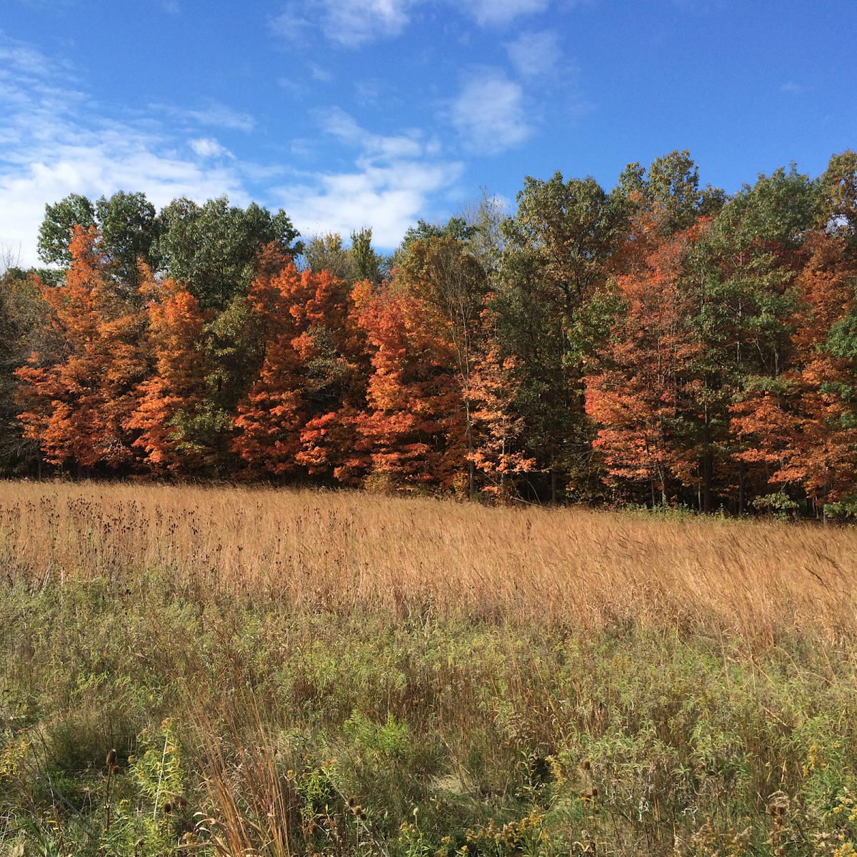 Bear Creek Hunt Club Inc