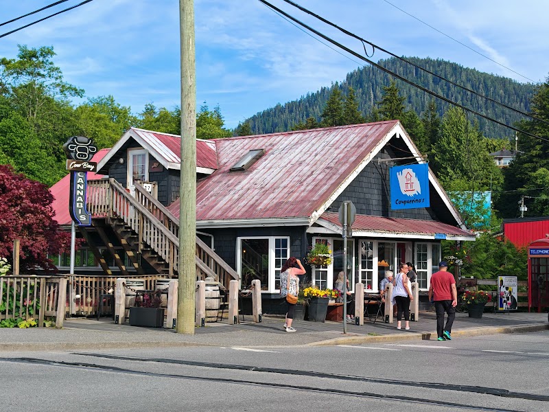 Cowpuccino's Coffee House photo 3