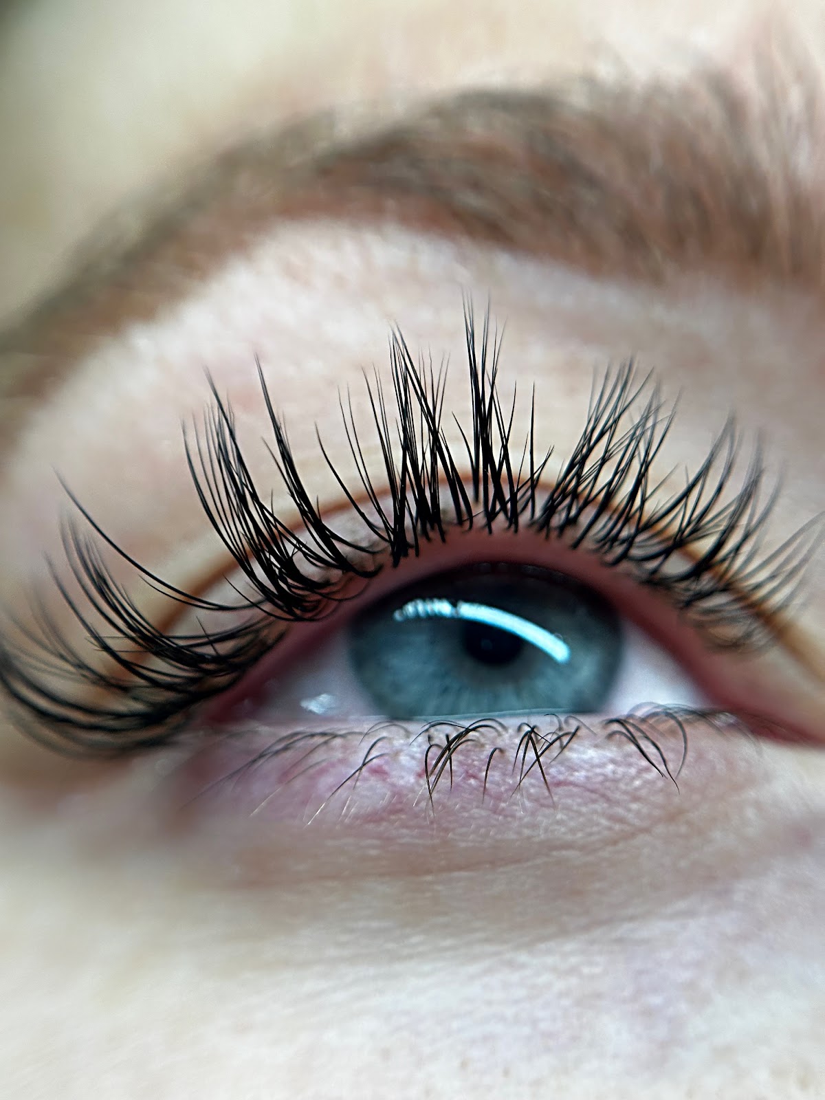 Lash Pilot Santa Monica: Google Places image 1