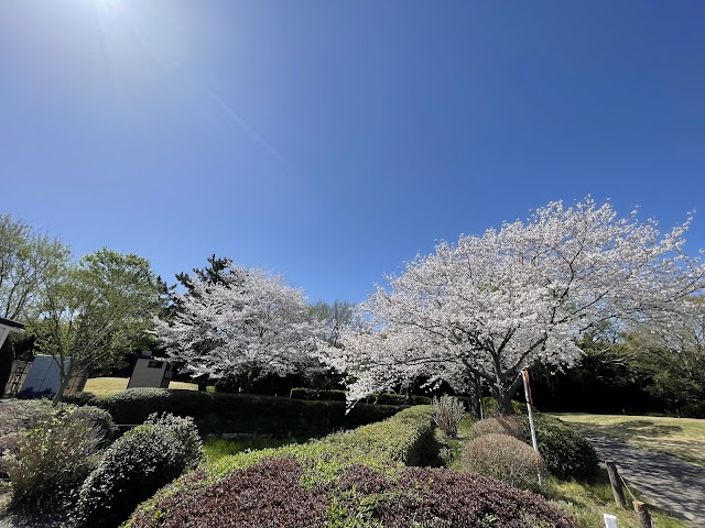 Tonegawa Park Golf Course - Photo 6