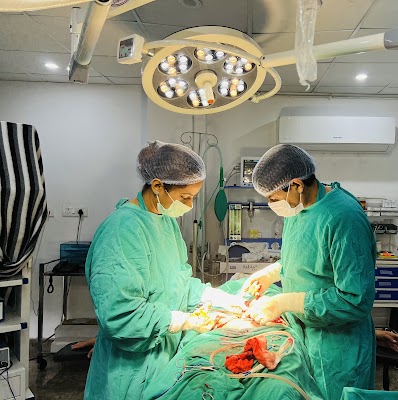 Dr DEVYANI SAWAI SHARMA - Image 2