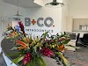 Brown + Co Orthodontics