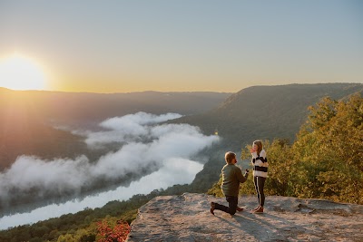 Lynn Littles Photography