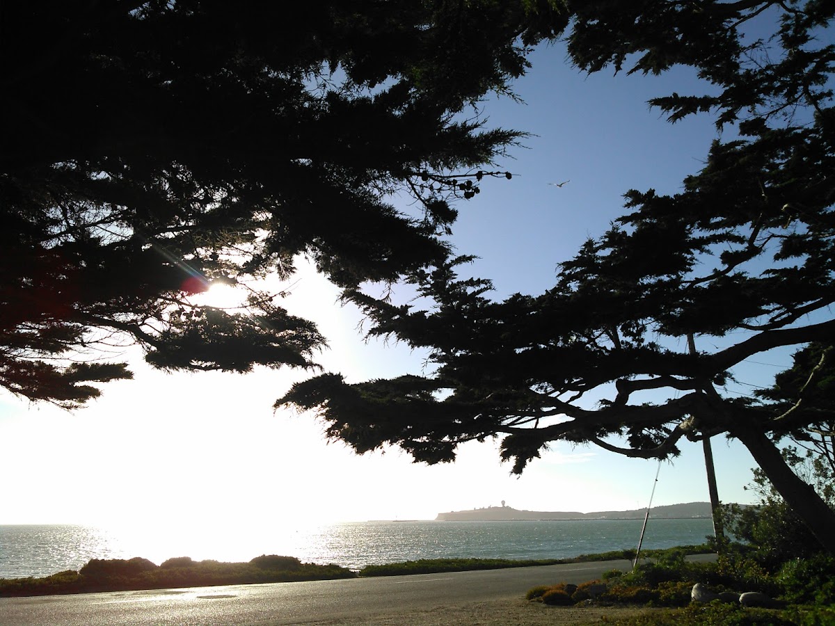 Hastings House Garden Weddings: Google Places image 1