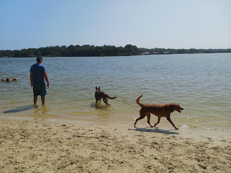 Bayview Dog Beach in Destin