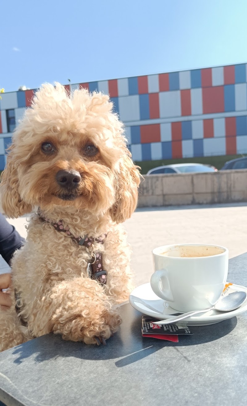 Clínica Veterinaria Otxoki