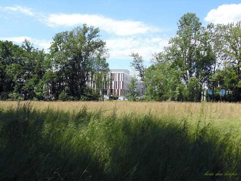 CHAL - Centre Hospitalier Alpes Léman