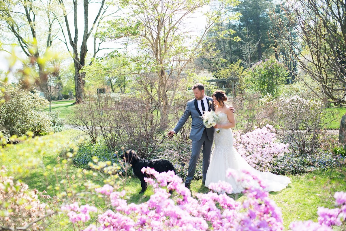 Karen Kelly Photography: Google Places image 2