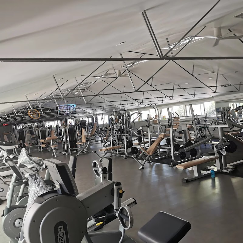Palestra Nettuno
